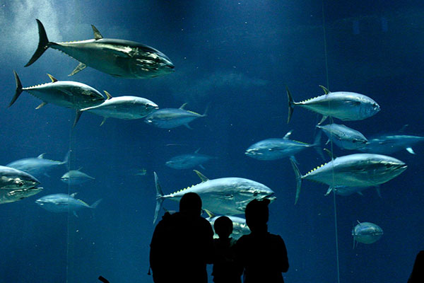 葛西臨海水族園