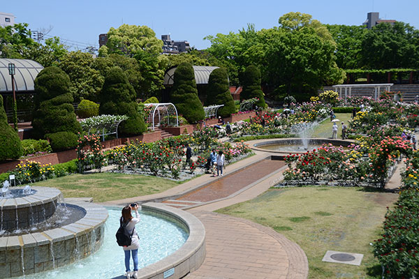 総合レクリエーション公園