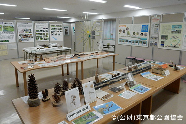 水辺の生きもの館(水元公園内)