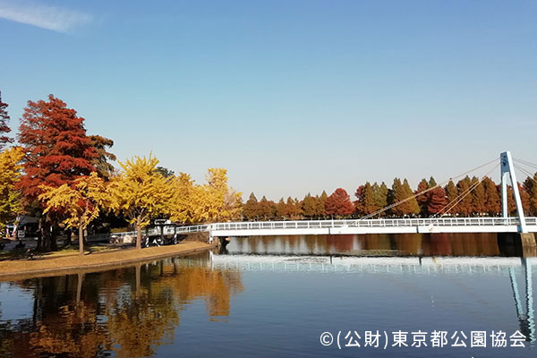 都立水元公園