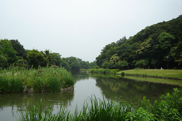 じゅん菜池緑地