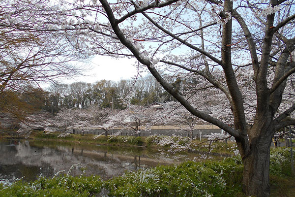 花島公園